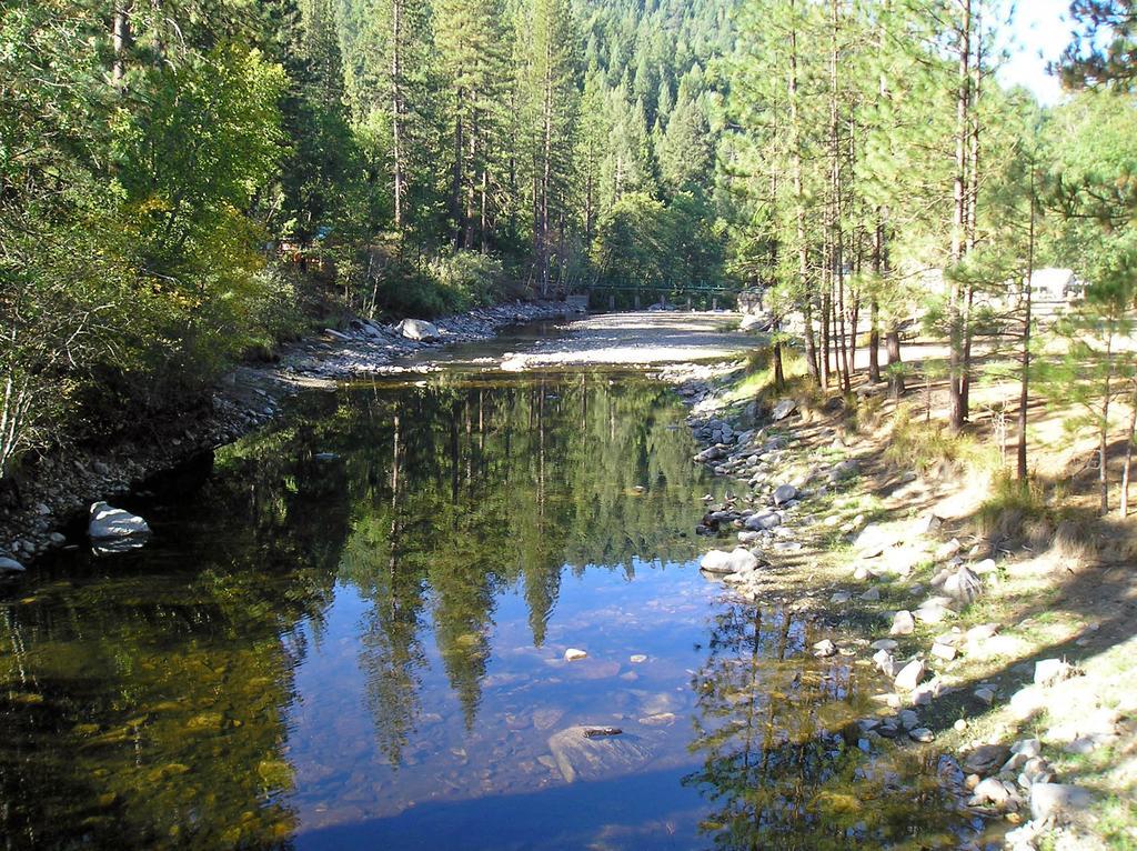 Yosemite Lakes Cabin 39 Harden Flat Extérieur photo